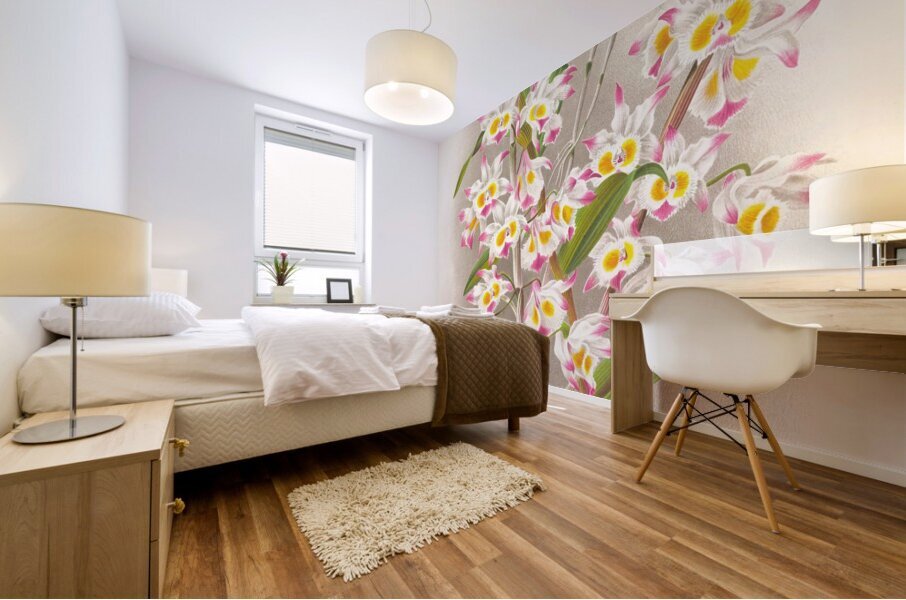 Dendrobium devonianum  Mural print