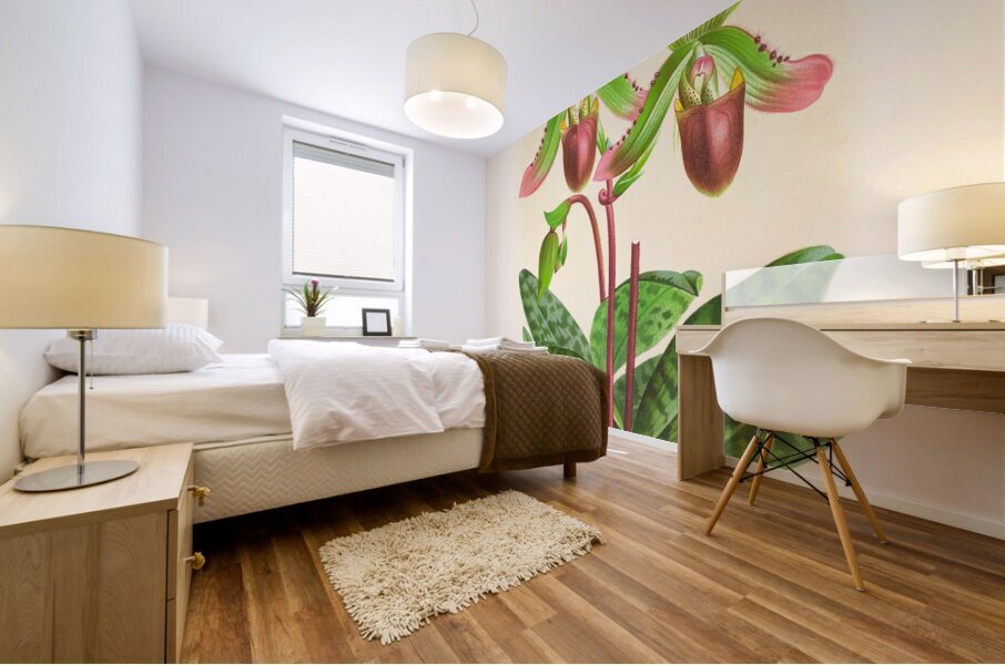 Cypripedium callosum Mural print