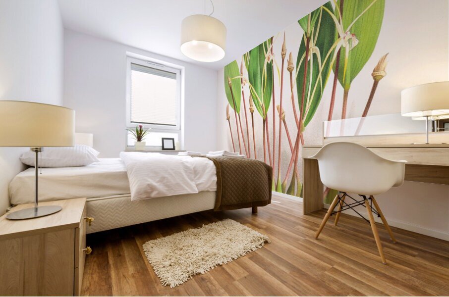 Dendrobium Inauditum Mural print