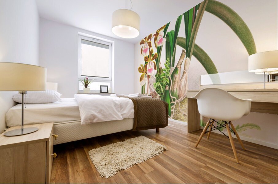 Epidendrum atropurpureum Mural print