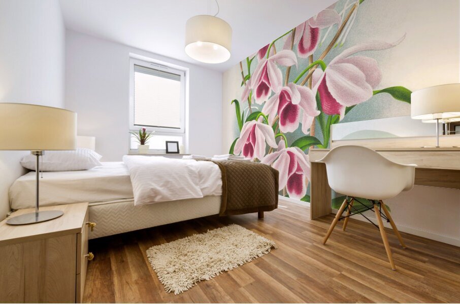 Dendrobium superbum var anosmum  Mural print