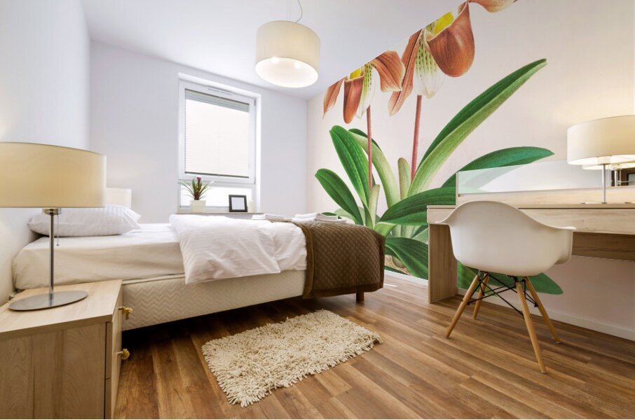 Cypripedium oenanthum superbum Mural print