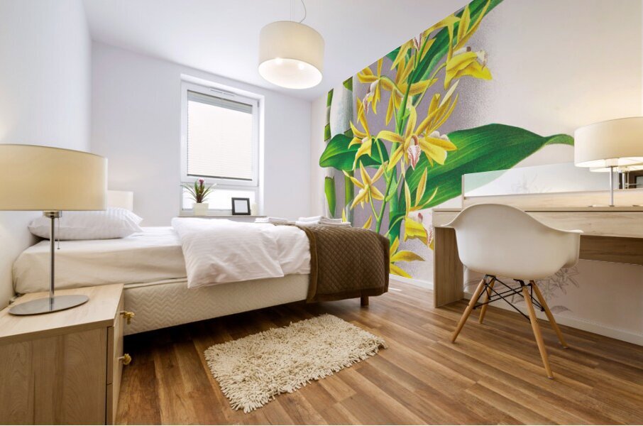 Dendrobium mirbelianum Mural print