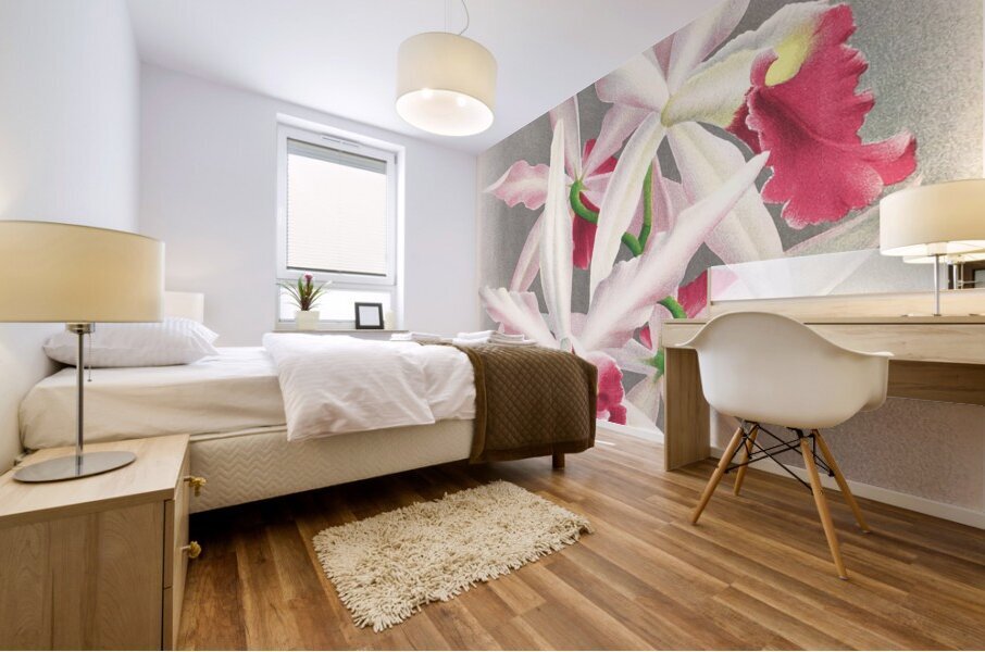 Laelia elegans  Mural print