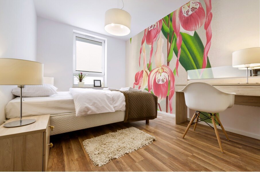 Cypripedium schroderae var splendens Mural print