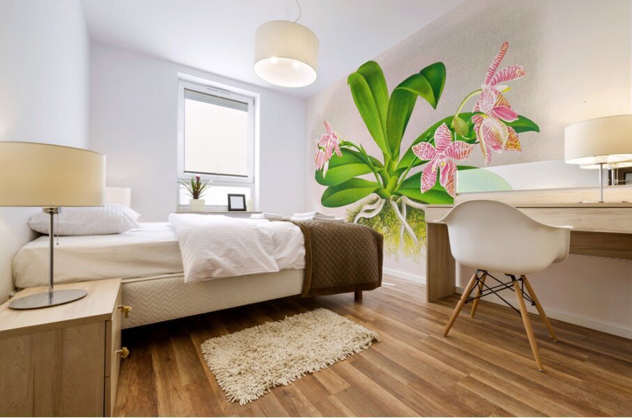 Phalaenopsis luddemanniana Mural print