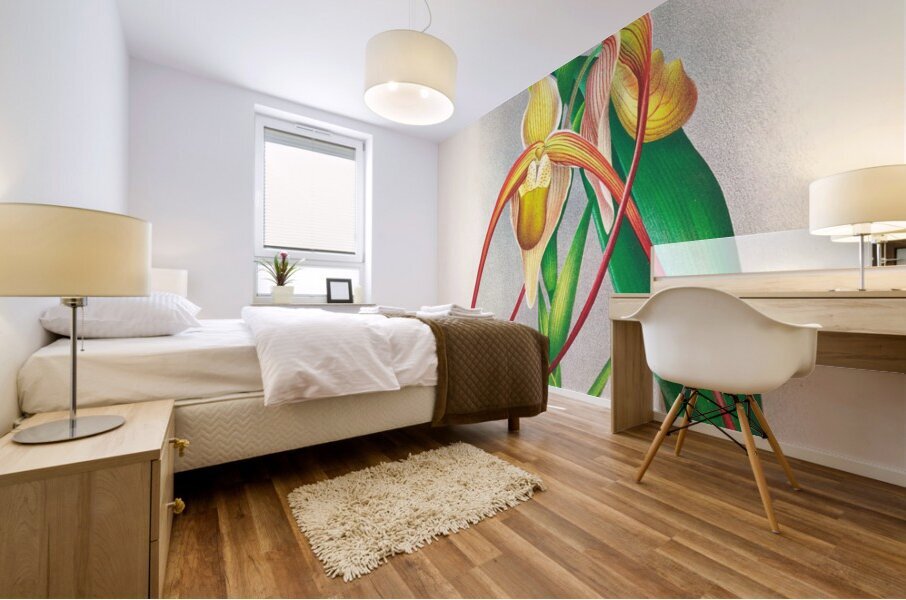 Selenipedium grande Mural print