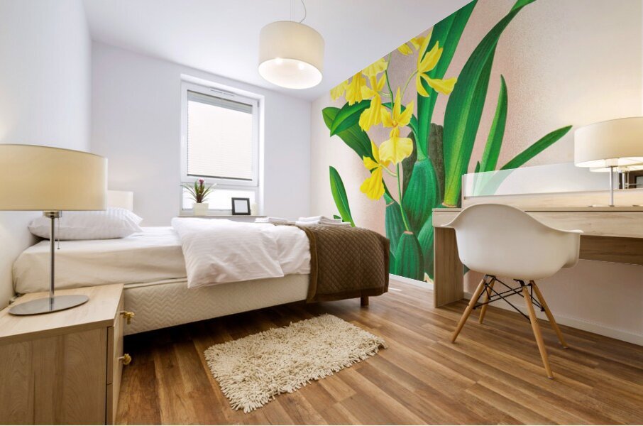 Oncidium concolor Mural print