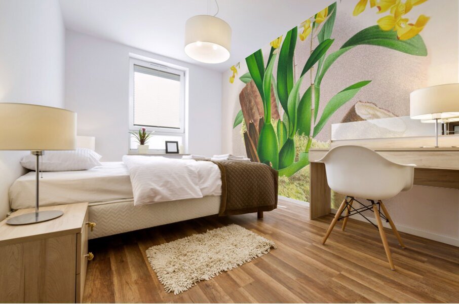 Oncidium warscewiczi Impression murale