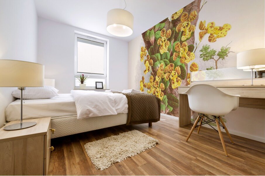 Oncidium Limminghei Mural print