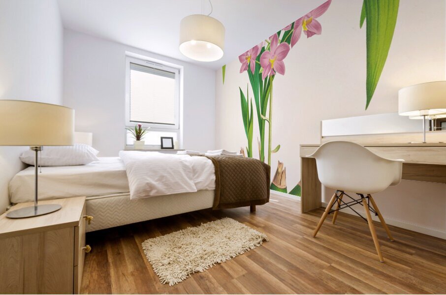 Spathoglottis plicata Mural print