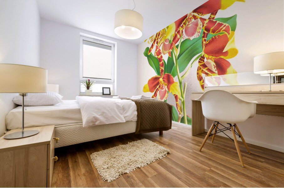 Odontoglossum grande Mural print