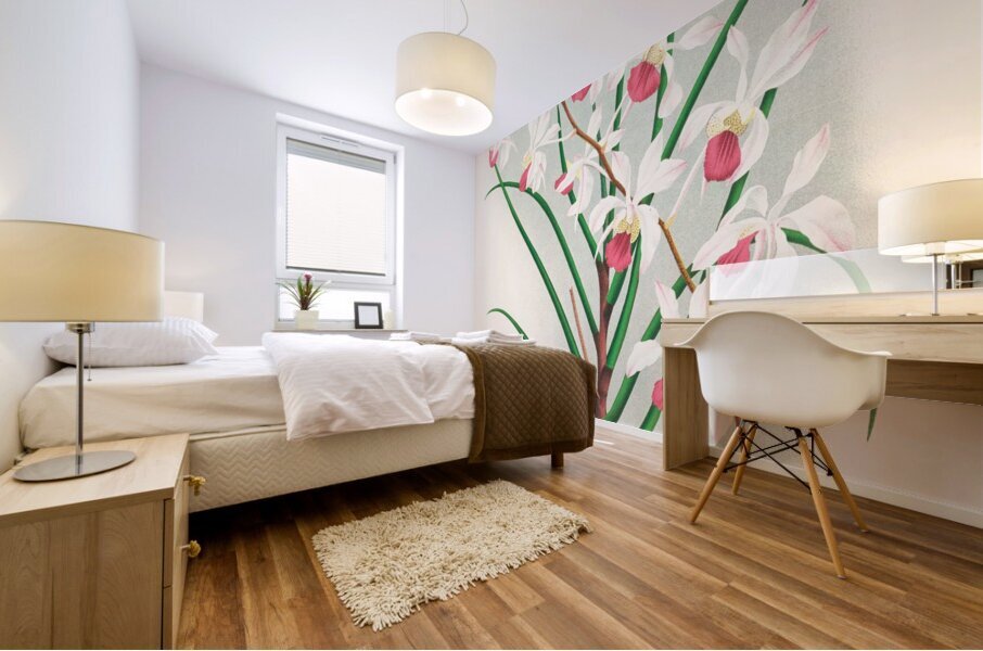 Vanda kimballiana Mural print