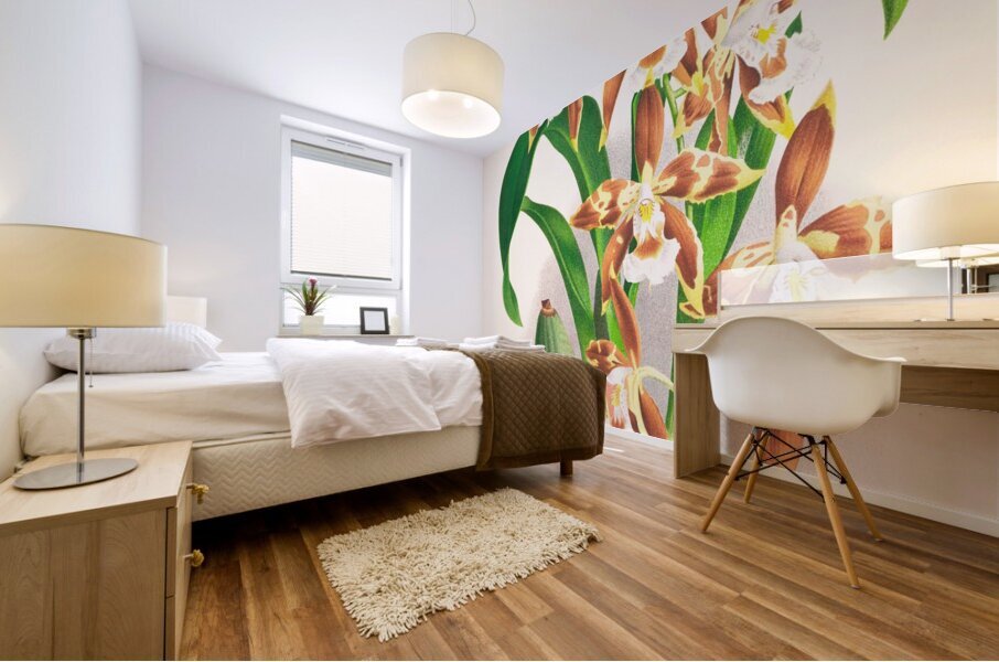 Odontoglossum luteo-purpureum Mural print