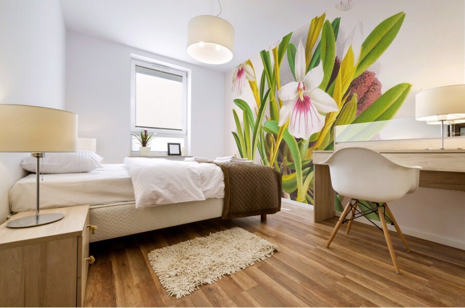 Miltonia spectabilis Mural print