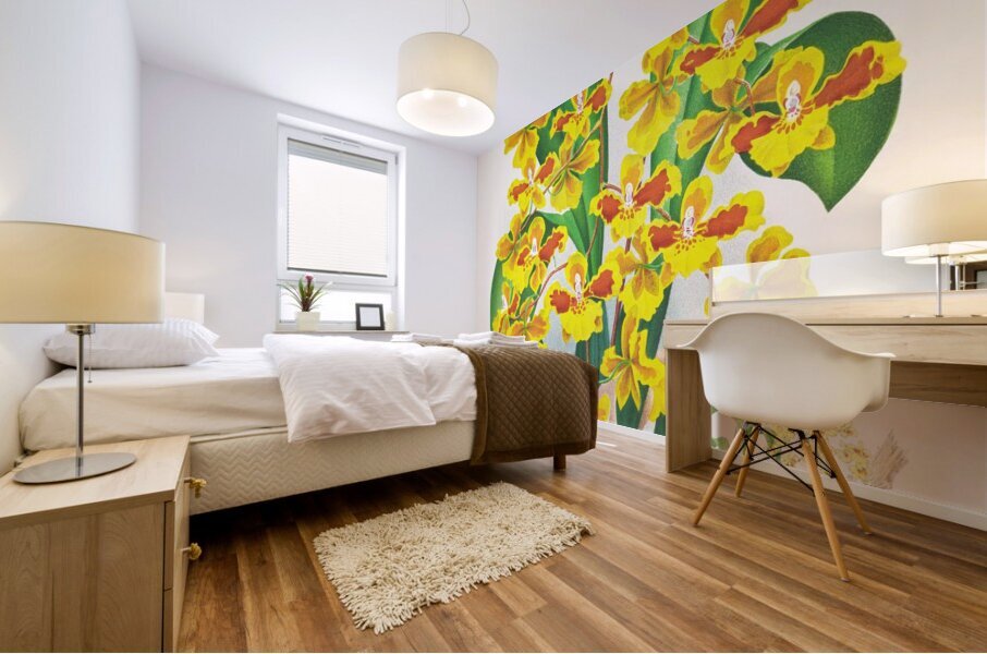 Oncidium sarcodes Mural print