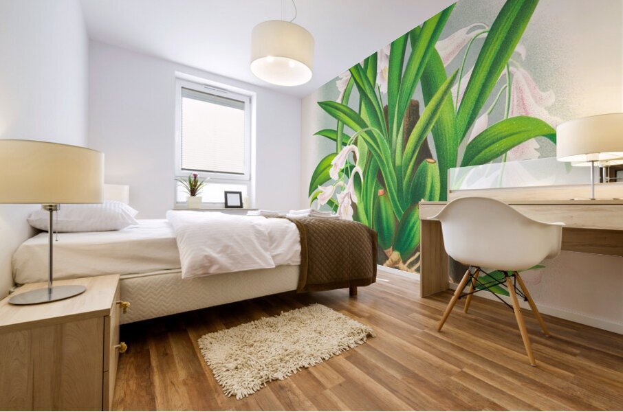 Rodriguezia refracta Mural print