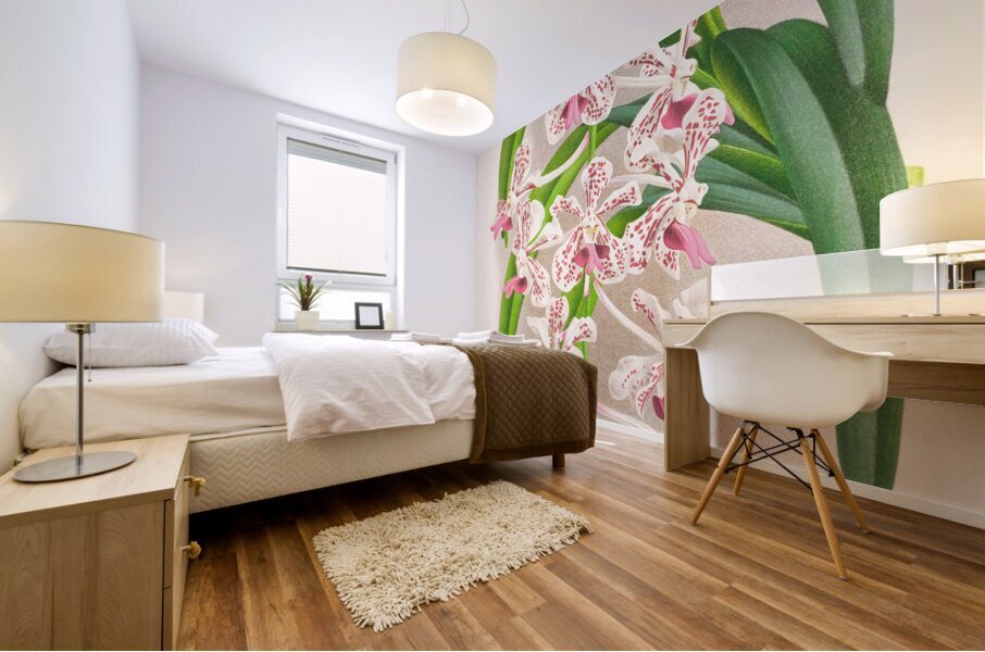 Vanda suavis Mural print