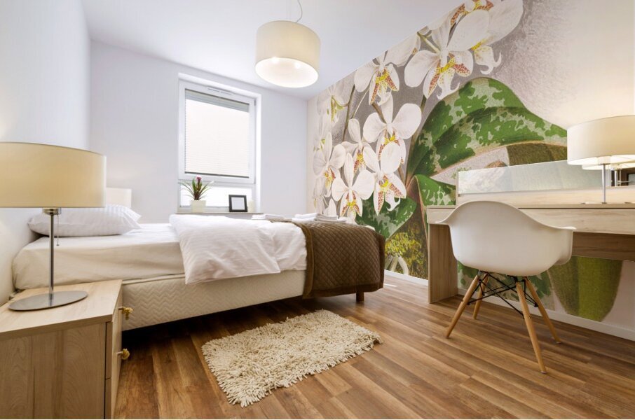 Phalaenopsis Stuartiana Mural print