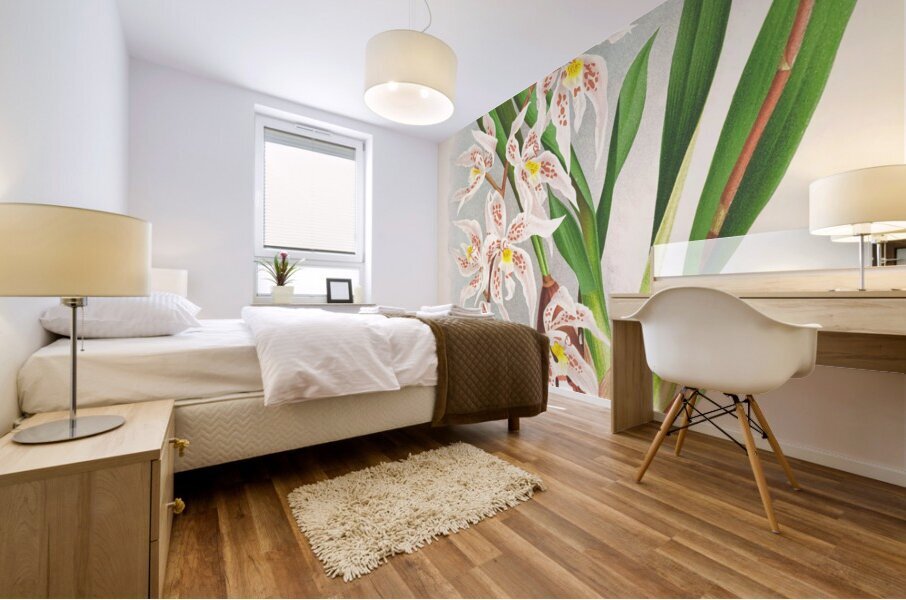 Odontoglossum Ruckerianum Mural print