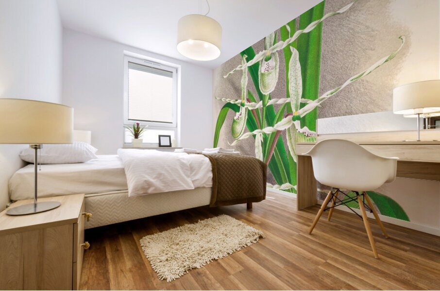 Selenipedium Reticulatum Mural print