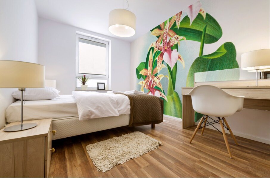 Odontoglossum Hastilabium Mural print