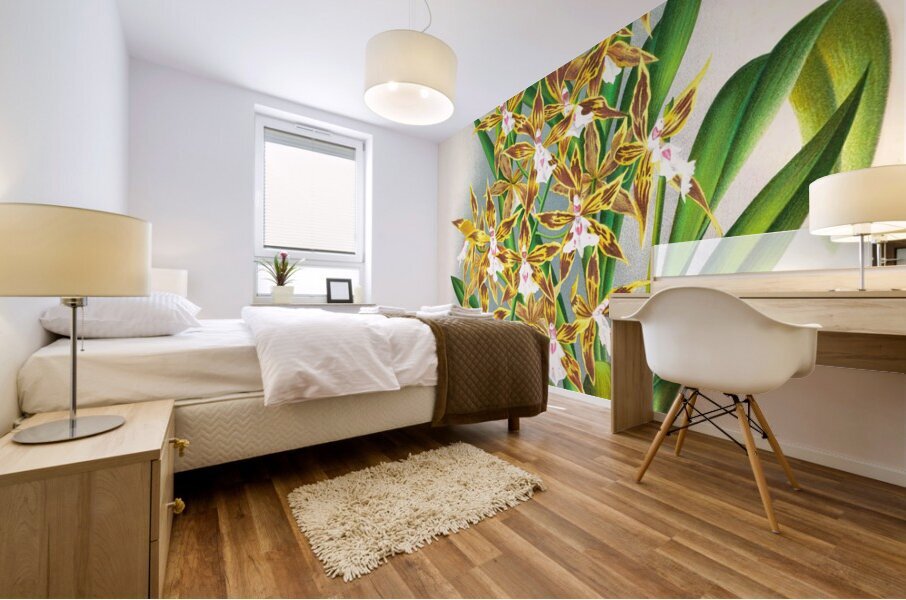 Odontoglossum boddaertianum Mural print