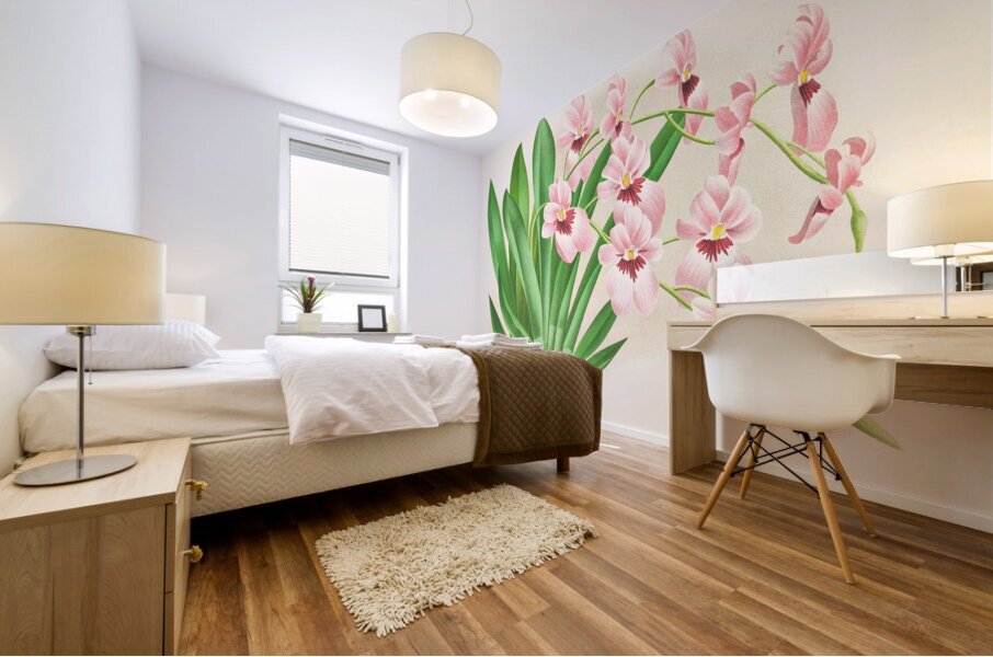 Miltonia vexillaria Mural print