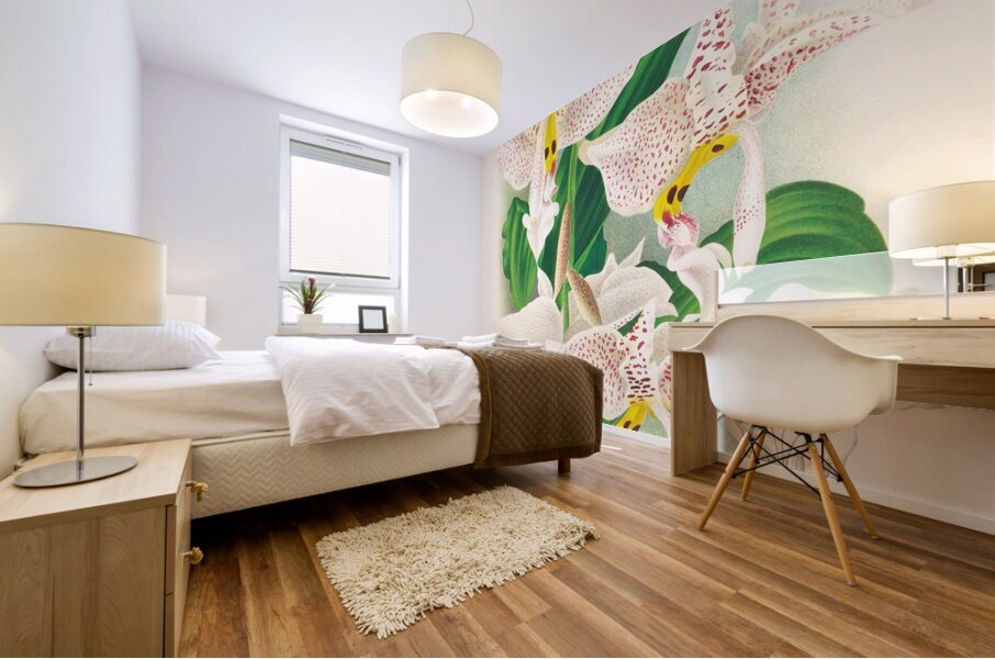 Stanhopea oculata Mural print