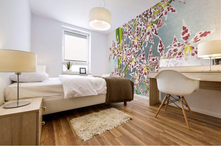 Odontoglossum odoratum var striatum Mural print