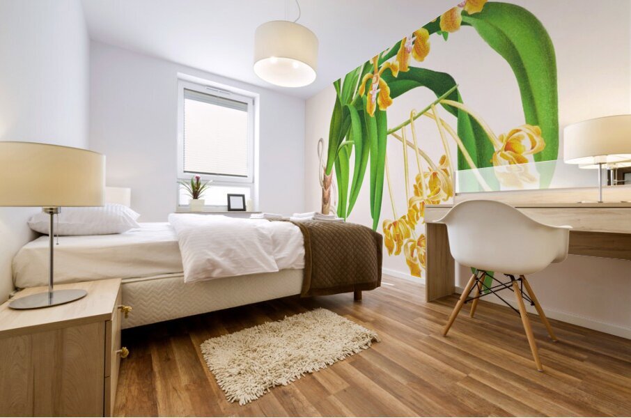 Vanda lindeni Mural print