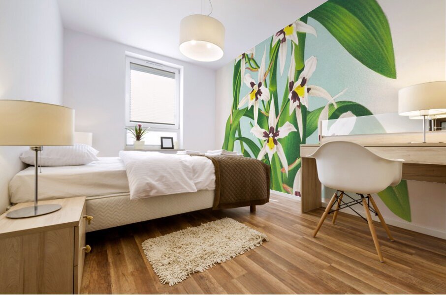 Odontoglossum maxillare Mural print