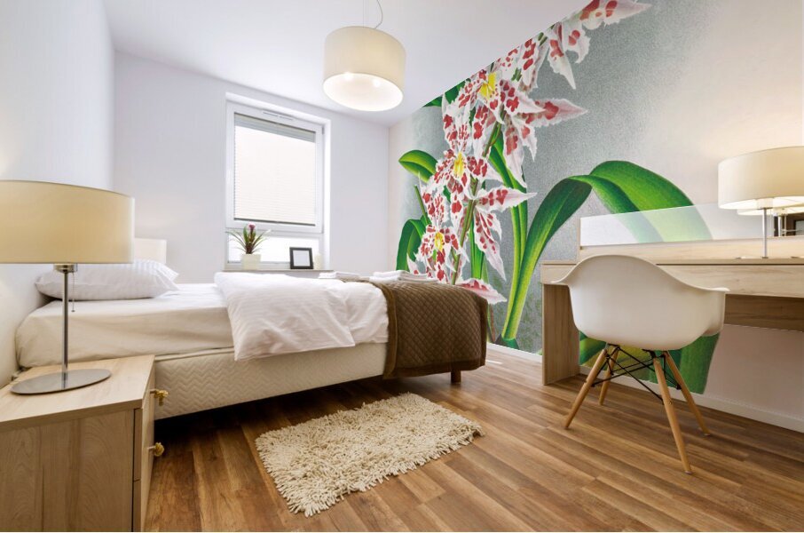 Odontoglossum schlesingerianum Mural print