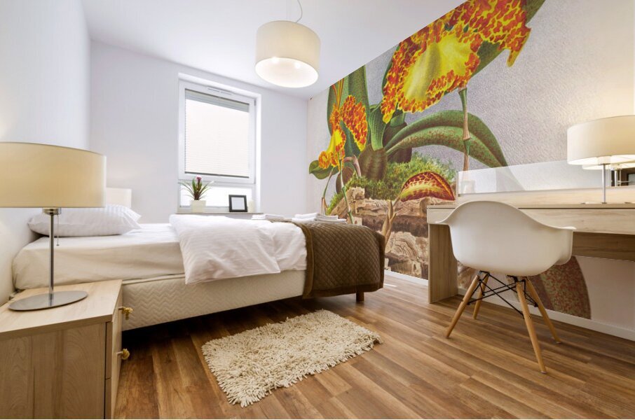 Oncidium kramerianum Impression murale