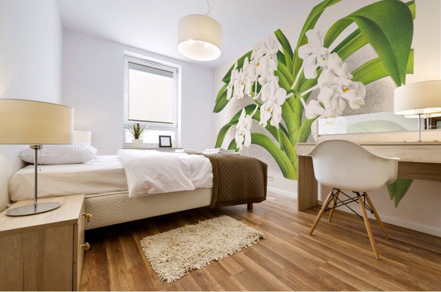 Vanda denisoniana Mural print