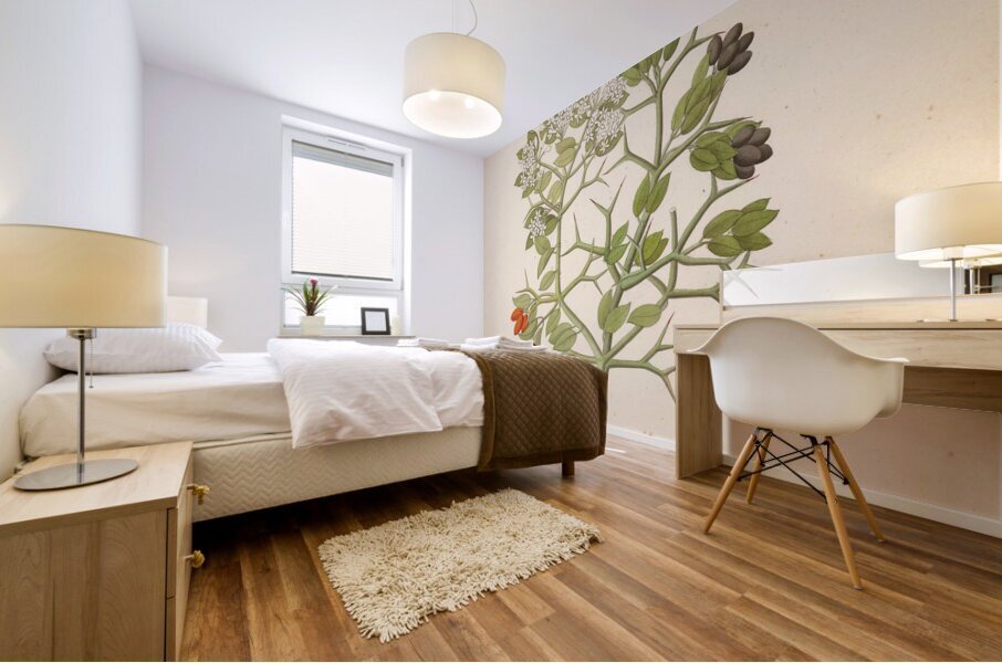 2 species of Carisfa arduina [Carissa haematocarpa] 1817 Mural print