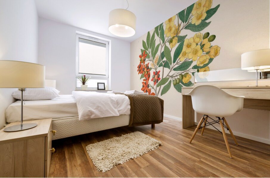 Icosandria monog. [Ochna arborea] 1817 Impression murale