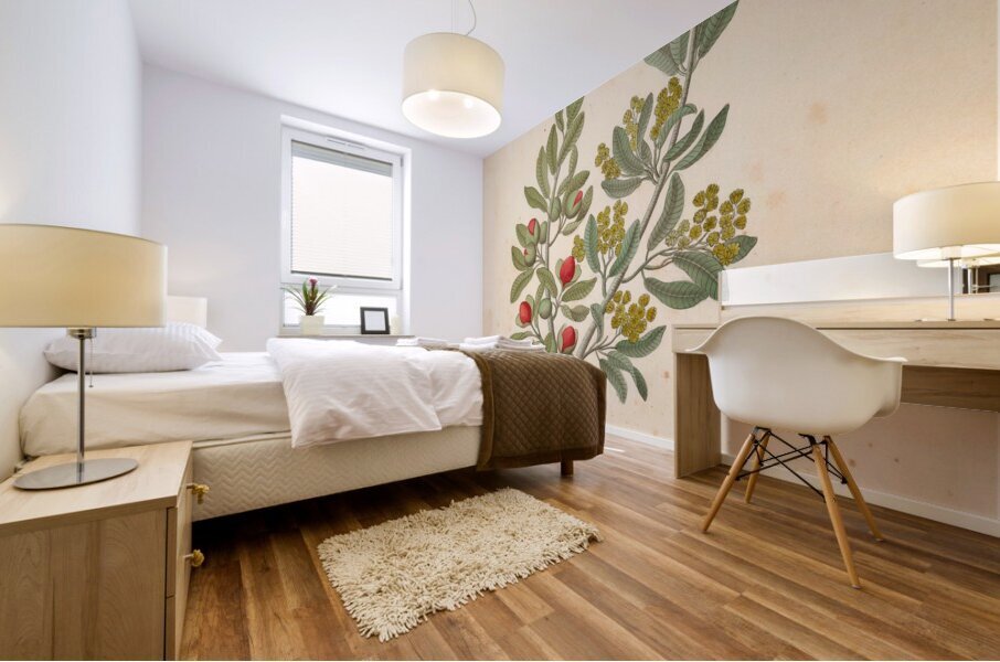 Octandria Monog. [Pappea capensis] 1817 Mural print