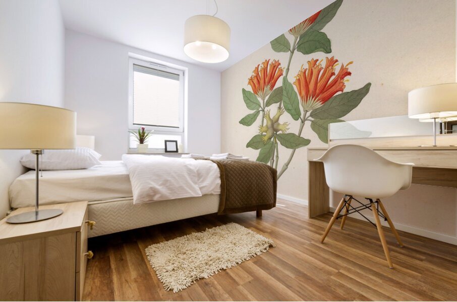 Gardenia Nova Sp. [Burchellia bubalina] 1817 Mural print