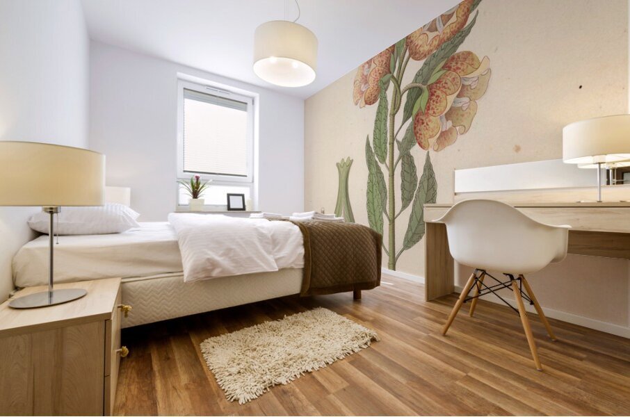 Asclepias grandiflora [Pachycarpus grandiflorus] 1817 Mural print