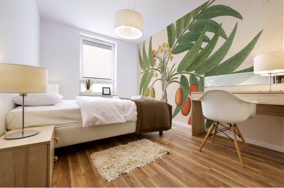 Decandria Mon. [Harpephyllum caffrum] 1817 Impression murale