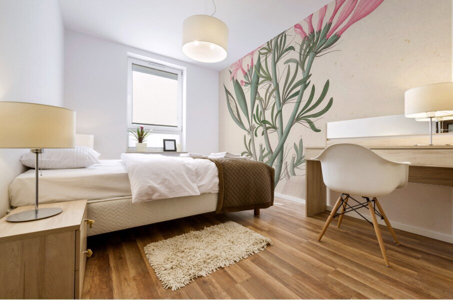 Ceropegia or Echites [Pachypodium succulentum] 1817 Mural print