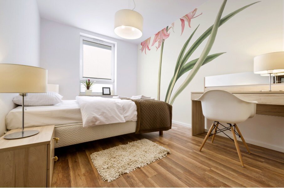 Amaryllis Stilosa 1834 Mural print