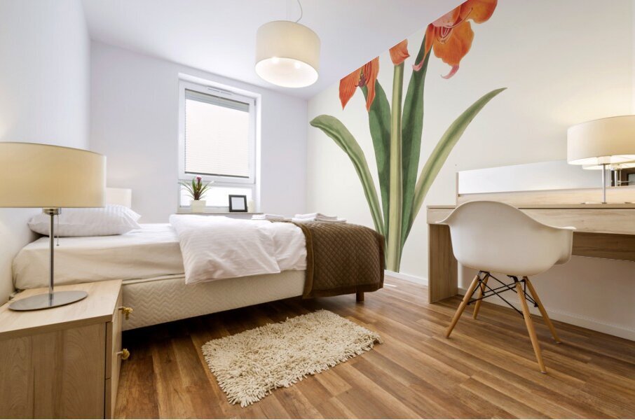 Amaryllis Equestris Major 1834 Mural print