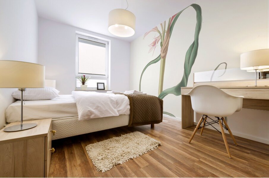 Amaryllis Longifolia Glauca 1834 Mural print