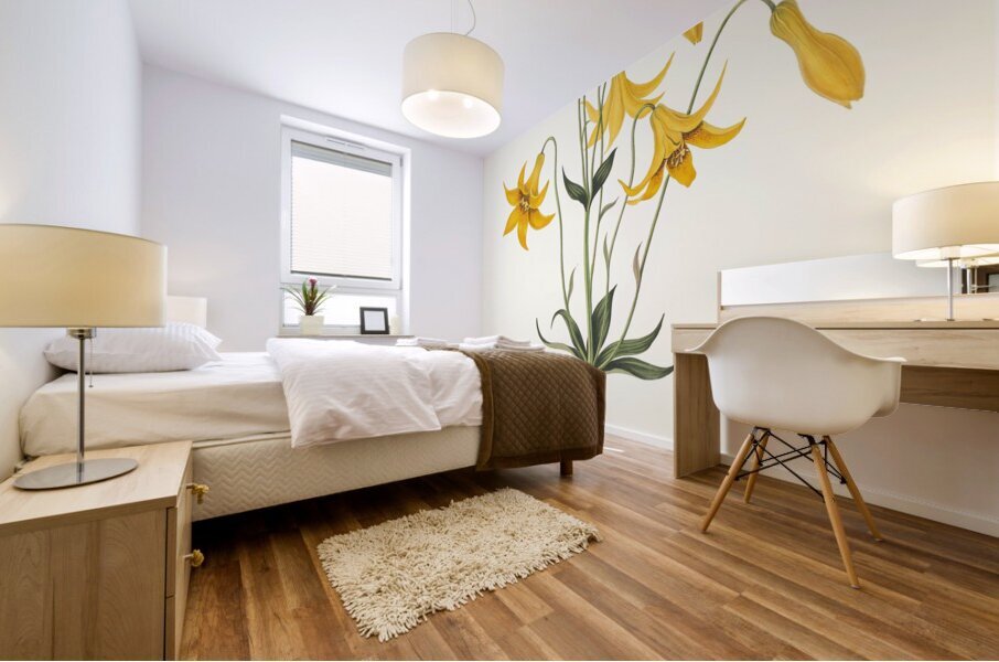 Lilium Canadense. [Canada Lily Wild Yellow Lily] 183400 Mural print