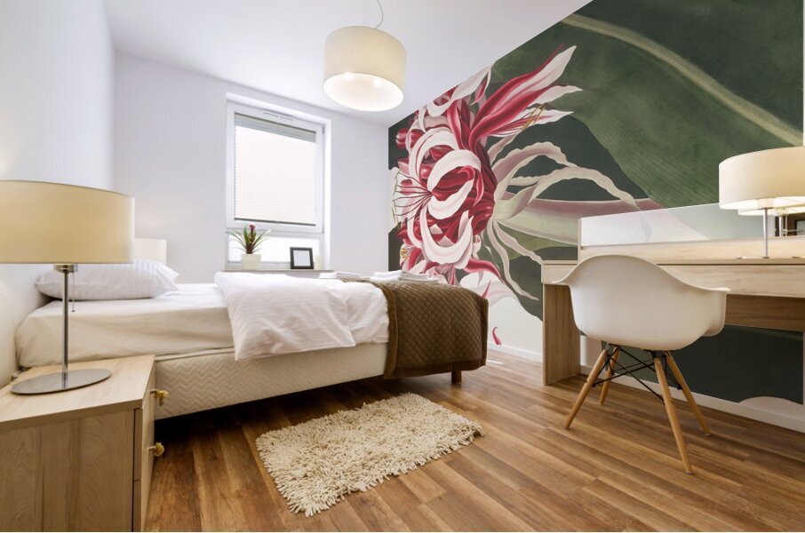 Crinium Augustum. [Queen Emma] 1834 Impression murale