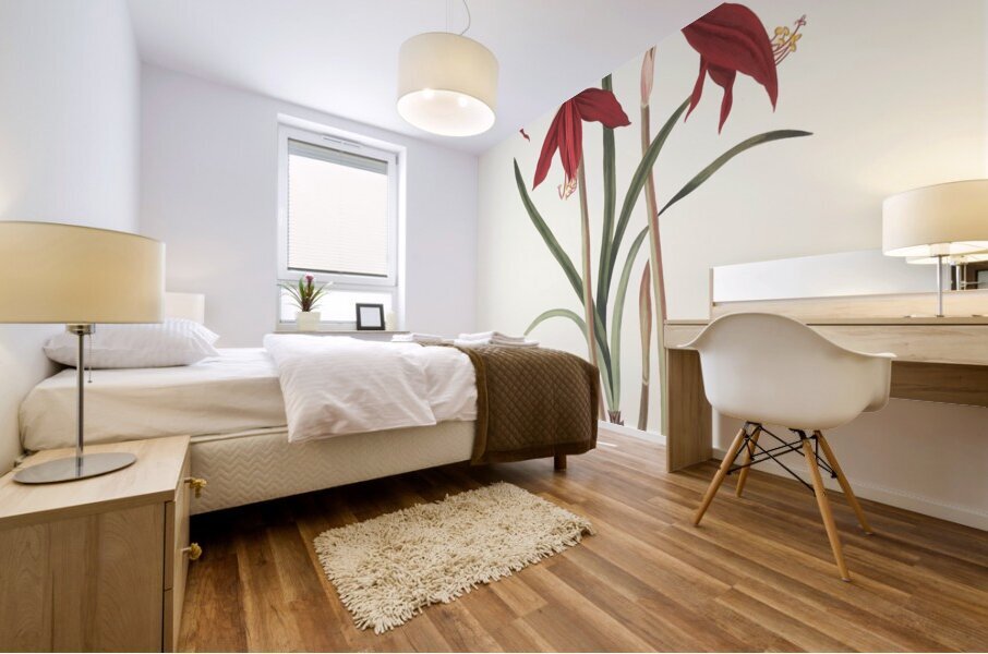 Amaryllis Formosissima. 1834 Impression murale