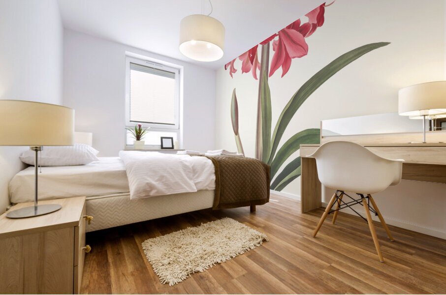 Amaryllis Johnsoni. 1834 Mural print