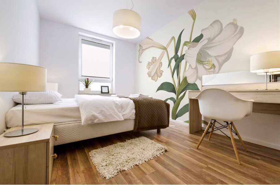 Lilium Longiflorum. 1834 Mural print